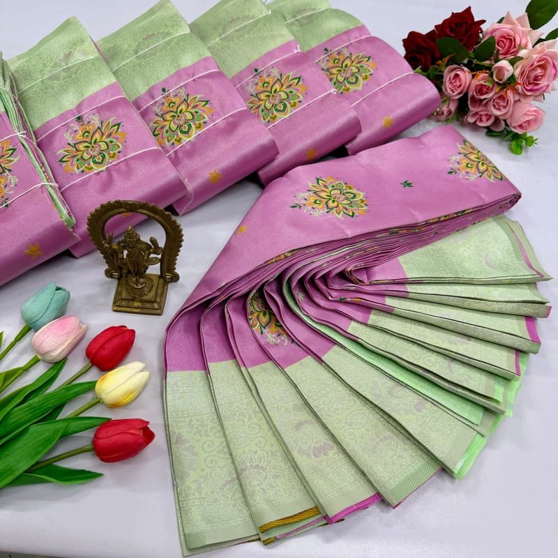 Digital Meena Tissue Saree